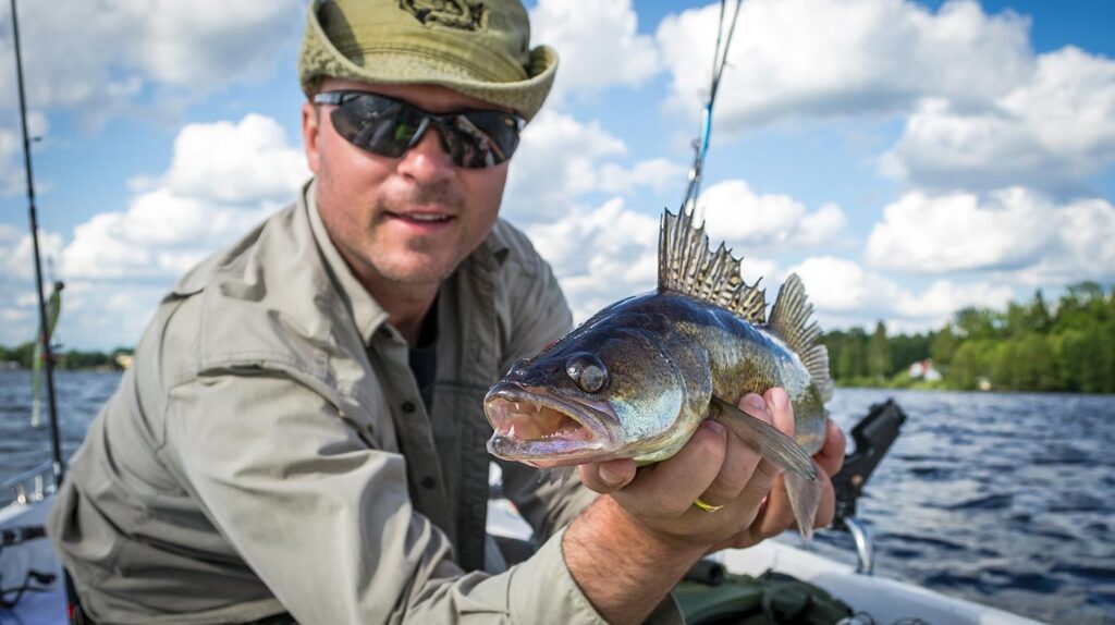 Fiske i Kinda kommun, Östergötland (Rimforsa)